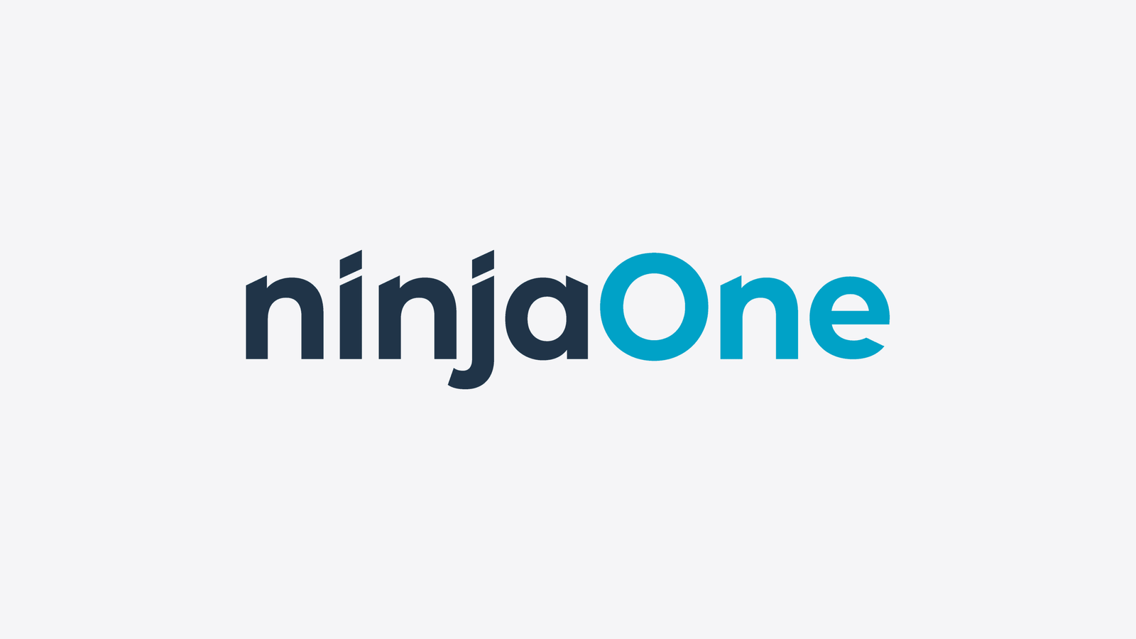 Ninja One - idemeum integration